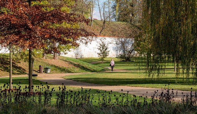 Park sousedí s pardubickým zámkem. (7. listopadu 2019)