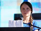 Klimatická aktivistka Greta Thunbergová pronesla e na protestu za vtí...
