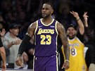 LeBron James se trefil za ti, fandové LA Lakers slaví.