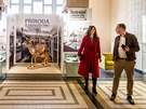 Zjemci si v hradeckm muzeu mohou prohldnout vstavu Proda z depozit (1....