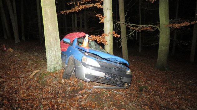 Mladý řidič jel na Strakonicku příliš rychle a s autem vjel přímo mezi stromy. Náraz do jednoho z nich nepřežil (9. listopadu 2019)