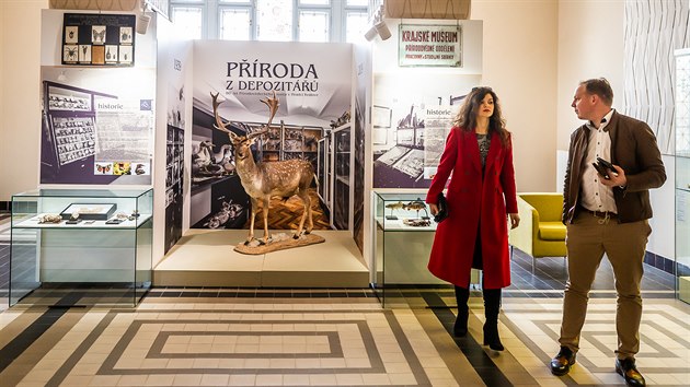 Zjemci si v hradeckm muzeu mohou prohldnout vstavu Proda z depozit (1. 11. 2019).