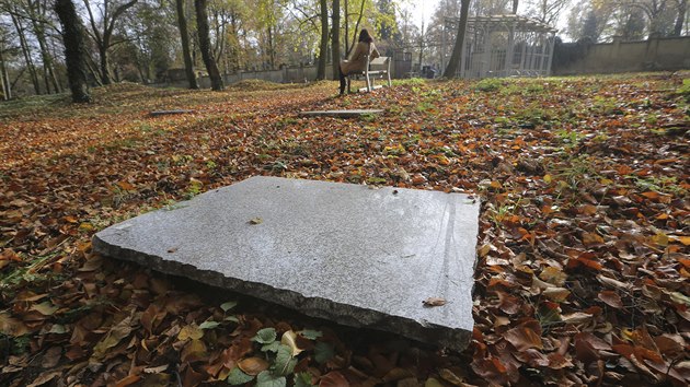 Plze m jako jedin v Plzeskm kraji takzvan lesn hbitov. Akoliv funguje u rok, zatm v nm nikdo pochovn nen. (1. 11. 2019)