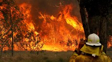 Východ Austrálie suují poáry. (9. listopadu 2019)