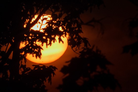 Západ Slunce s Merkurem 9. května 2016 mezi stromy.