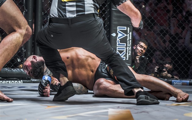 Expanze MMA na fotbalové stadiony. Nejdřív Eden, potom Bratislava?