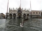 Voda z vydatných de zaplavila velkou ást historického centra italských...