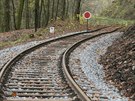 Nov� koleje kon�� zat�m v lese nad ml�nem. (19. listopadu 2019)