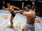 MMA zápasník Milo Petráek kope do dánského soupee Joachima Christensena na...