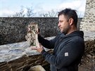 Archeolog z Muzea Komenského Zdenk Schenk ukazuje pozdn gotický kamnový...