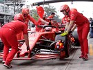 Sebastian Vettel a mechanici Ferrari bhem tréninku na Velkou cenu Brazílie