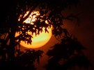 Západ Slunce s Merkurem 9. kvtna 2016 mezi stromy.