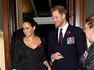 Vévodkyně Meghan a princ Harry v Royal Albert Hall na slavnosti připomínající...
