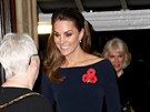 Vévodkyn Kate v Royal Albert Hall na slavnosti pipomínající obti první...