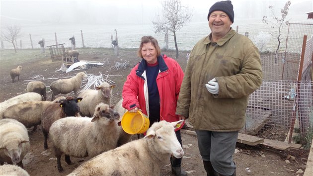 Farm Ji Hok je toho nzoru, e vlci do esk prody nepat. elma mu nkolik ovc zabila.  Vlky pitom nezastavil ani elektrick ohradnk.