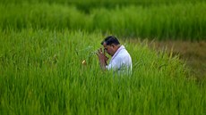Indický farmá se modlí na poli.  (18. íjna 2019)