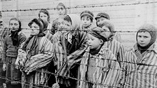 Židovské děti určené k lékařským pokusům Josefa Mengeleho
