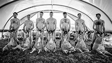 Na fotografii pro kalendá se nazí studenti londýnské Royal Veterinary College...