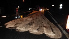 U nehody zasahovali i hasi�i. Odklízeli trosky a �istili silnici.