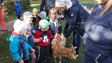 Mateská kola Fügnerova v Lounech získala jako první v Ústeckém kraji stíbrný...