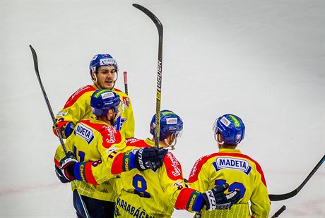 Hokejisté Motoru eské Budjovice slaví gól.