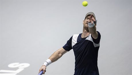 Andy Murray na finlovm turnaji Davis Cupu