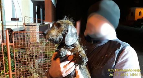 Hasii zachraovali na Klatovsku psa, který vlezl do kanalizaní roury.