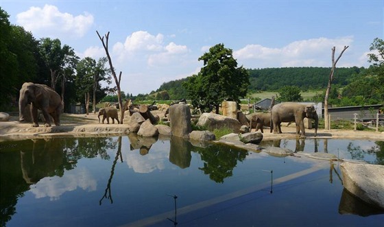 Údolí slonů v pražské zoo