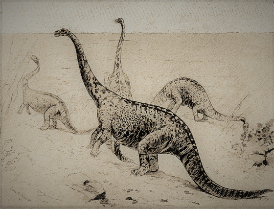 Zastaralá rekonstrukce obojivelného sauropoda druhu Amphicoelias altus v...