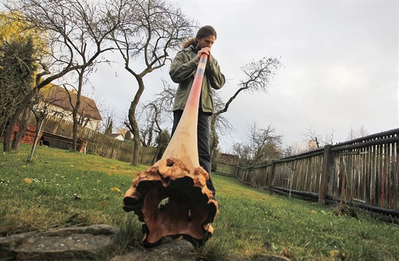 Tomá Dufek hraje na jedno ze svých didgeridoo, vyrobené z pírodn tvarovaného...