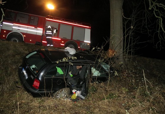 Při dopravní nehodě u Brloha na Českokrumlovsku zemřel v pátek večer řidič...