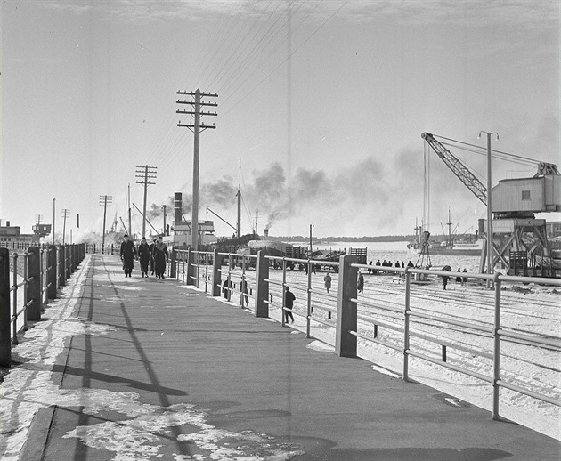 Jaké výkřiky dezinformátorů padají v souvislosti se zimní válkou