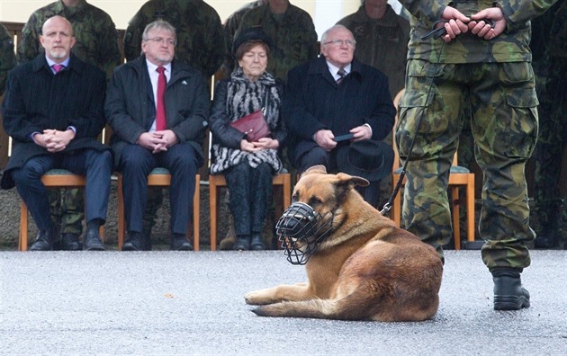 Slavnostnímu nástupu pod grabtejnským hradem pihlíel i Doky, jeden ze dvou...