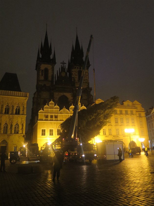 Píjezd Vánoního stromu na Staromstském námstí v Praze