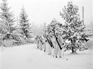 Zimní válka 1939 - 1940, fintí vojáci na lyích
