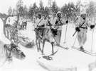 Zimní válka 1939 - 1940, finská armáda pouívala i soby jako taná zvíata.