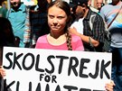 Aktivistka Greta Thunbergová v prvodu Global Climate Strike v New Yorku. (20....