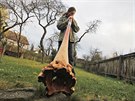 Tom� Dufek hraje na jedno ze sv�ch didgeridoo, vyroben� z p��rodn� tvarovan�ho...