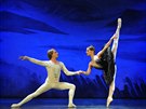 Royal Moscow Ballet - Labutí jezero