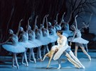 Royal Moscow Ballet - Labutí jezero