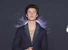 Shawn Mendes na American Music Awards (Los Angeles, 24. listopadu 2019)