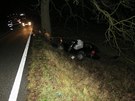 P�i dopravn� nehod� u Brloha na �eskokrumlovsku zem�el v p�tek ve�er �idi�...