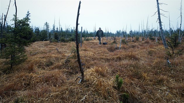 Lesníci už se přestanou starat o část rezervace Rašeliniště Jizery.
