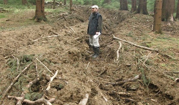 esk inspekce ivotnho prosted v Plzni udlila plmilionovou pokutu firm, kter po tb deva pokodila v CHKO esk les pdu i stromy.