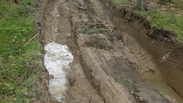 esk inspekce ivotnho prosted v Plzni udlila plmilionovou pokutu firm, kter po tb deva pokodila v CHKO esk les pdu i stromy.