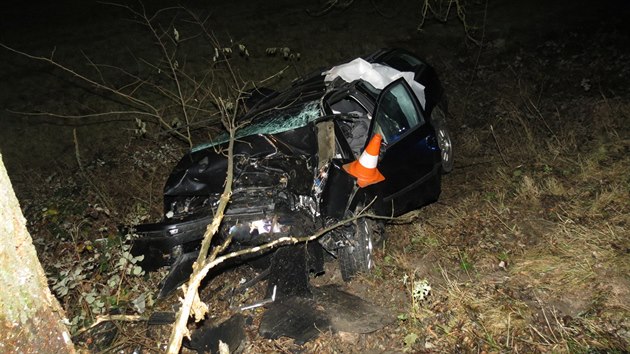 Při dopravní nehodě u Brloha na Českokrumlovsku zemřel v pátek večer řidič Škody Octavie.