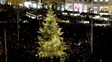 Davy lidí na námstí Svobody v Brn kadoron pihlíí slavnostnímu rozsvícení vánoního stromu. Letos bude v pátek 24. listopadu.