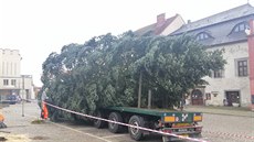 Váno�ní jedle pro Tábor musela z�stat p�es noc nalo�ená na kamionu.