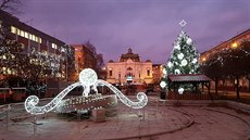 Loni stál na ústeckém Lidickém námstí smrk, který byl pokácen na pozemku...