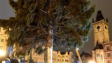 Na Staroměstské náměstí v Praze dorazil v noci na úterý vánoční strom (26....
